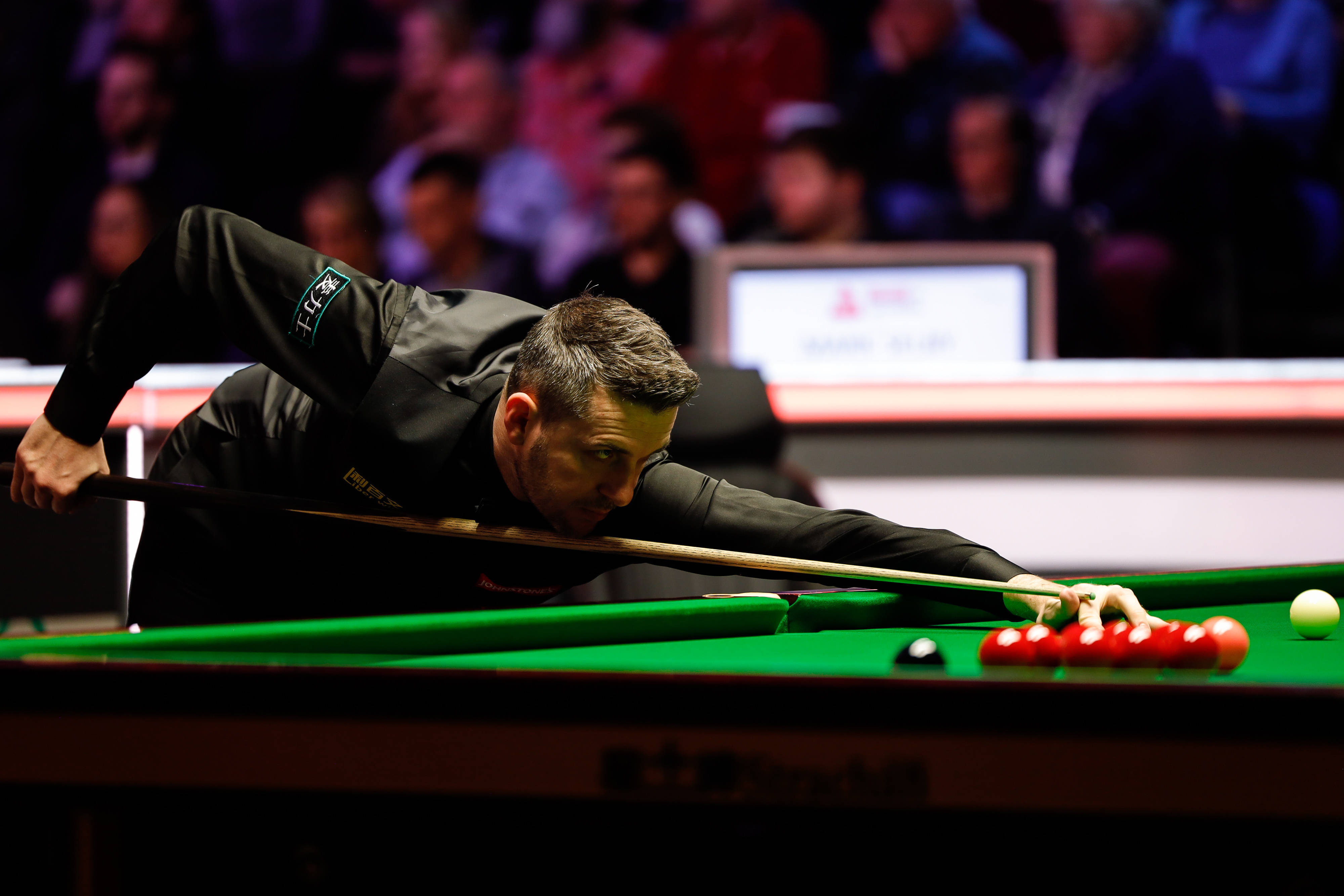 他的这一纪 他的这一纪